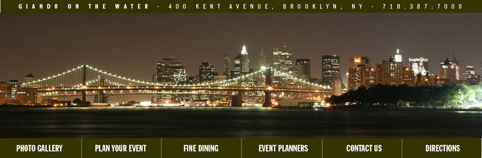 Night view of manhattan skyline and bridge